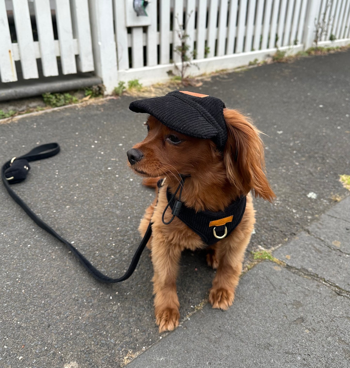 Summer Luvin Hat (Black)