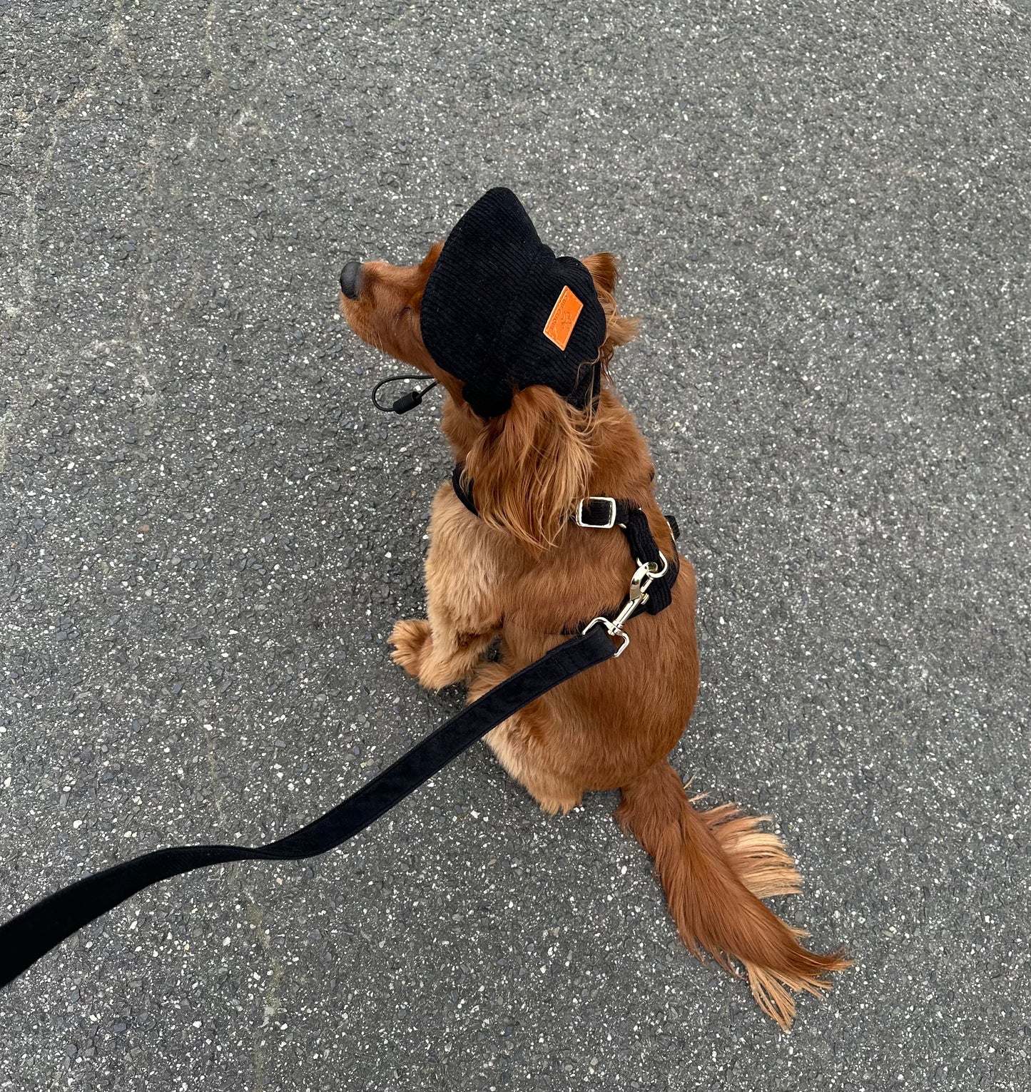 Summer Luvin Hat (Black)