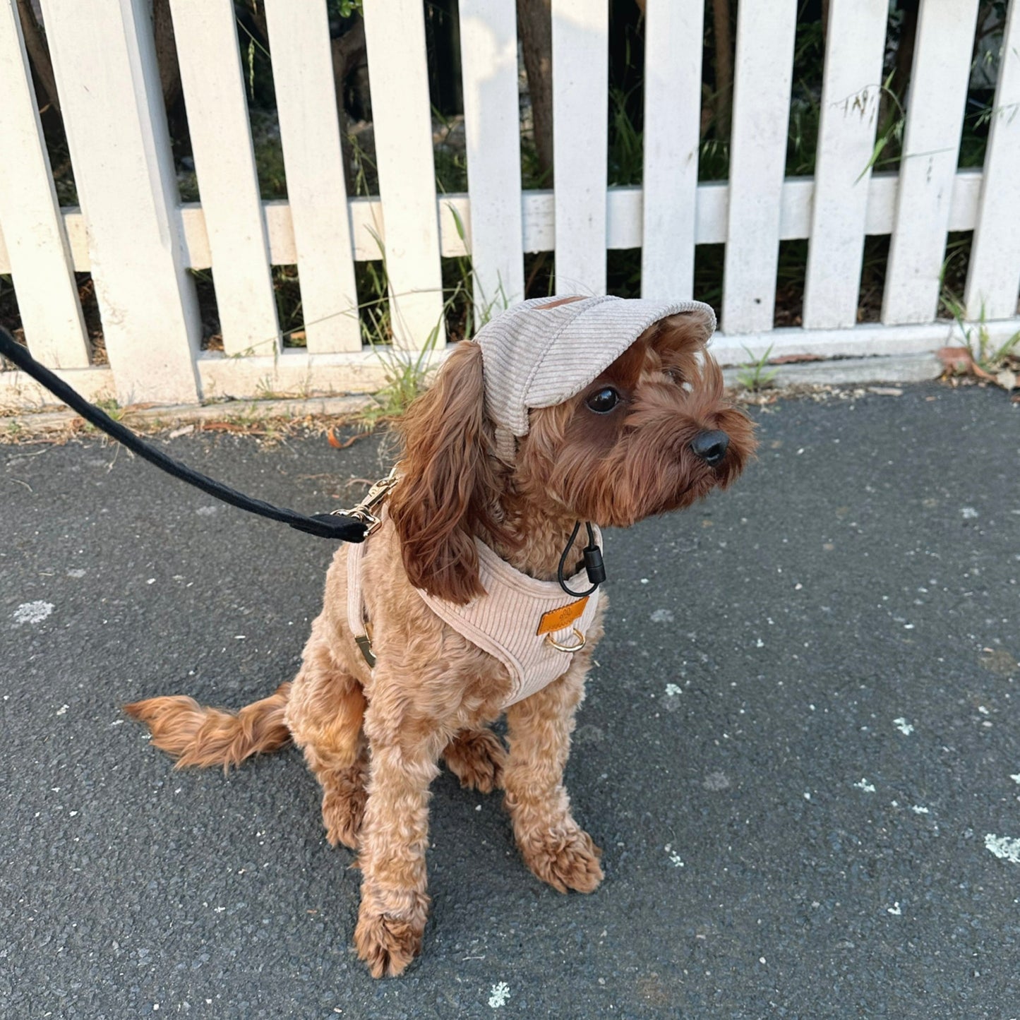 Summer Luvin Hat (Beige)