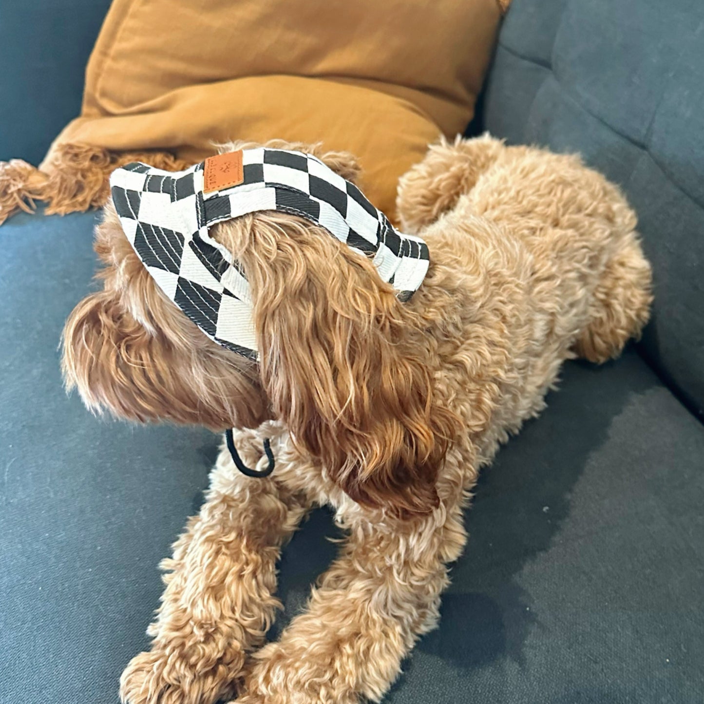 Checked Bucket Dog Hat