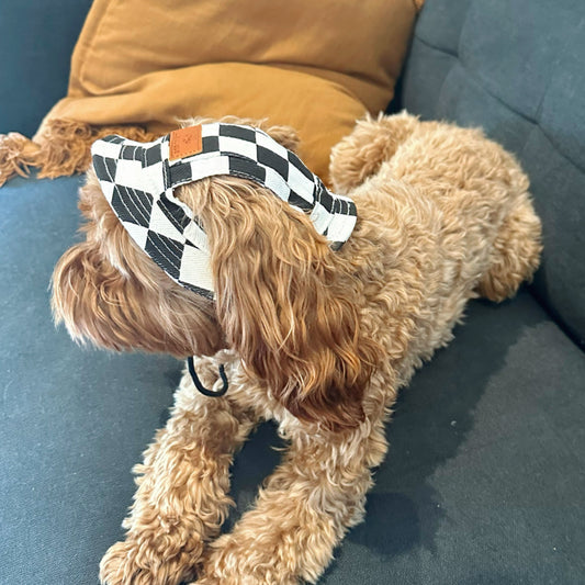 Checked Bucket Dog Hat